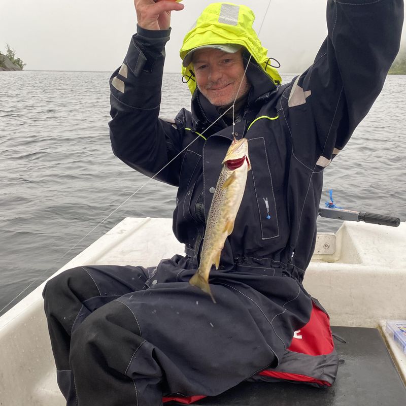  3 pk Autosett Medium med dobber