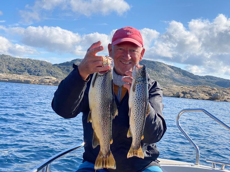  5 stuks Autosett Medium