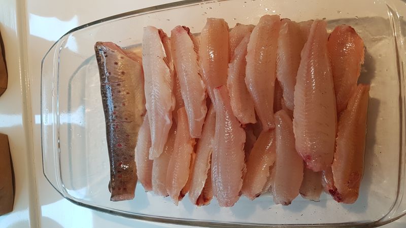  3 pk Autosett Medium med dobber