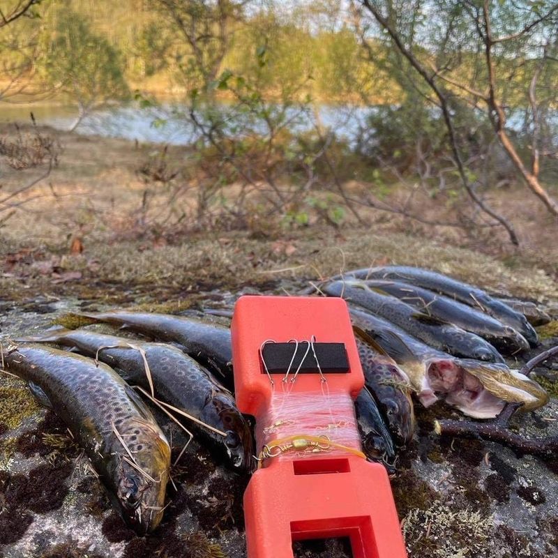  2 kpl taimensiima, 12 koukkua