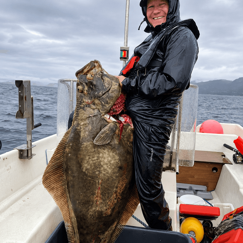 Halibut hookset. 16/0